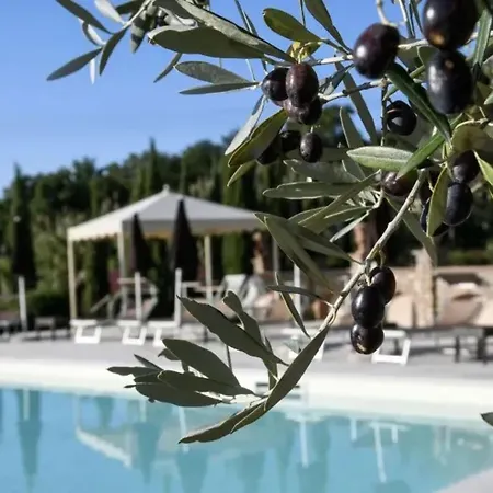 Torresassa Con Piscina *